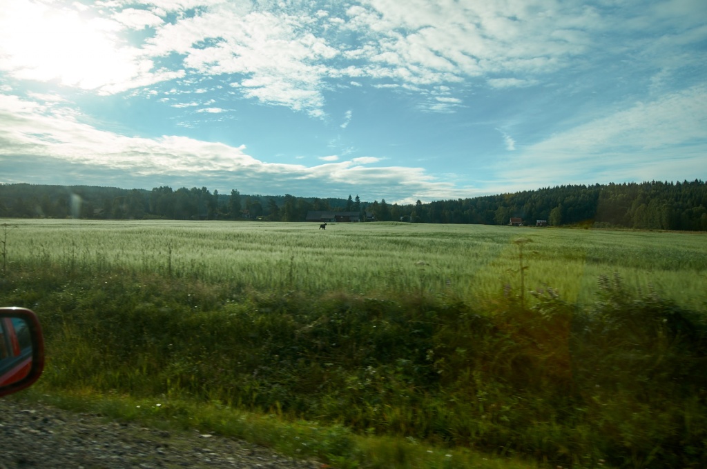Schweden I 2016