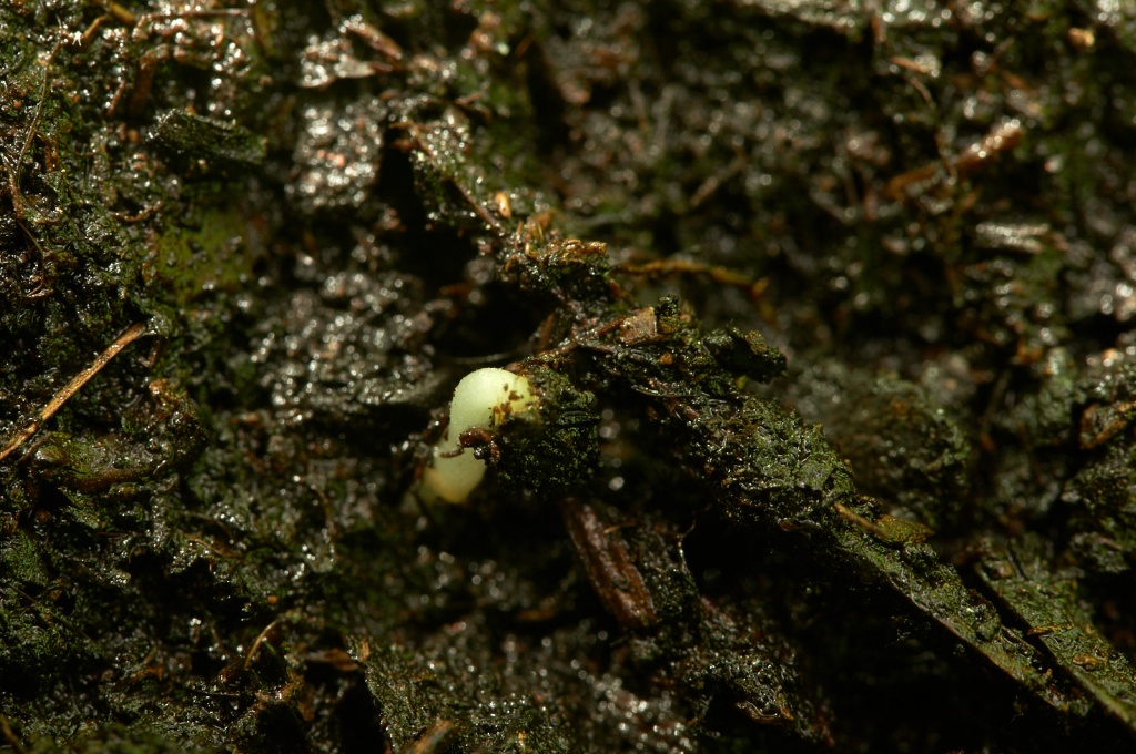 dsc05096